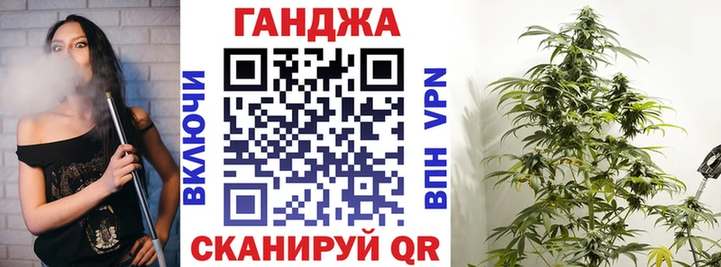 Бошки Шишки планчик  где найти   Малоярославец 